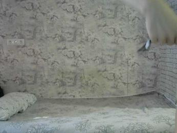 Affectionate-Fairy webcam model stream image