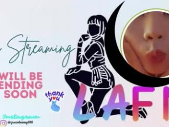 lafnking webcam model stream image