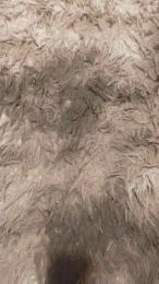 pregnanhot webcam model stream image