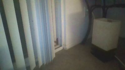 Silkworm_Piper webcam model stream image