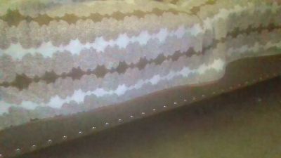 Silkworm_Piper webcam model stream image