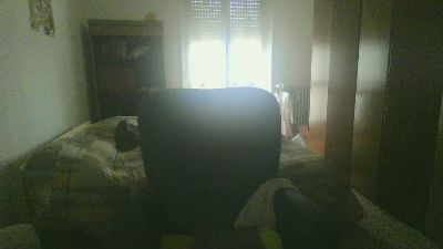 teuz90 webcam model stream image