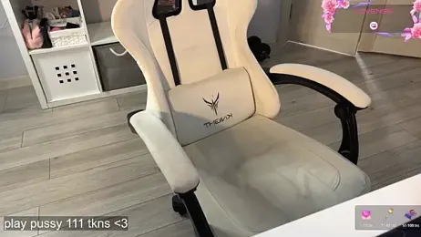 apex_sh webcam model stream image