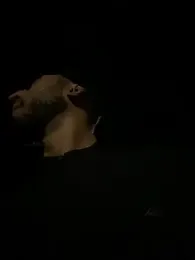 Dasul_ webcam model stream image