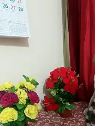 Shanu_Shah webcam model stream image