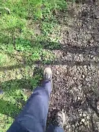 FreezingTie850 webcam model stream image