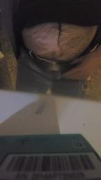 wandedarbis webcam cam4 model stream image