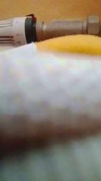 minex2 webcam model stream image