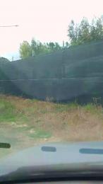 Danyblack1985 webcam cam4 model stream image