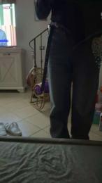 EMIEISL webcam model stream image