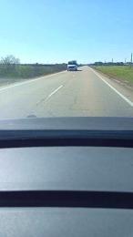 pichi84 webcam model stream image