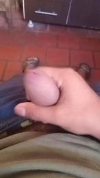 M_A_R_C_E webcam model stream image