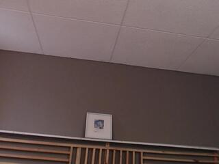 Paul Cambel webcam model stream image