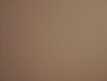 forestproject webcam model stream image