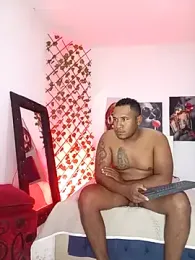 ARTHUR_MINI webcam model stream image