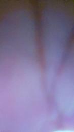 buscadoredo webcam model stream image