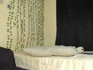 torygrey webcam model stream image