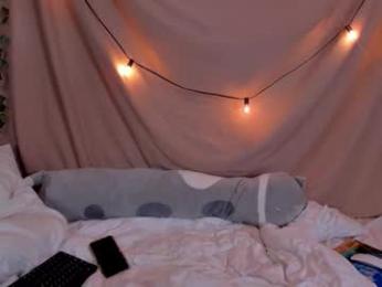 maxim_burn webcam model stream image