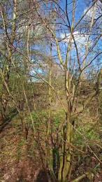 hotbody18y webcam cam4 model stream image