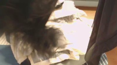 KimMitch webcam model stream image