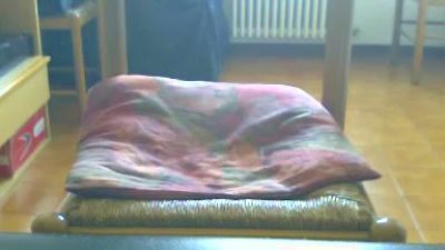 gufetto3 webcam cam4 model stream image