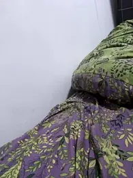 S00 webcam model stream image