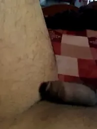 Mumbai_handsom92 webcam model stream image