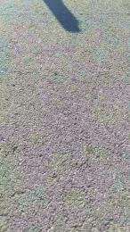 Petitebombe34 webcam cam4 model stream image