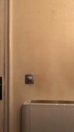 Hotmonstro webcam model stream image