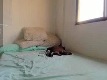 halliee webcam model stream image