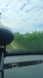 BoyOutdoor webcam model stream image