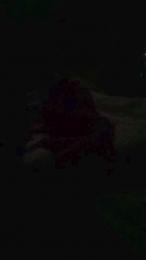 sofiaperez1 webcam model stream image