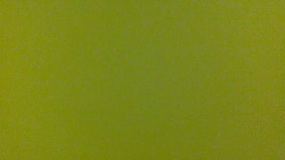 gatitaflakita webcam model stream image