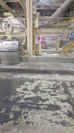 porcinoTN webcam model stream image