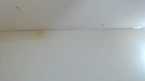 Jhhan234 webcam model stream image