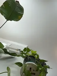 LoveShae_ webcam model stream image