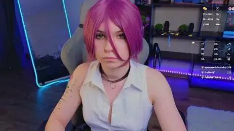 zelda_1 webcam model stream image