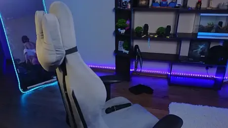 zelda_1 webcam model stream image