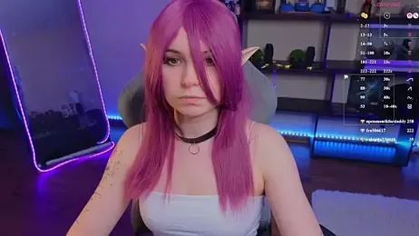 zelda_1 webcam model stream image