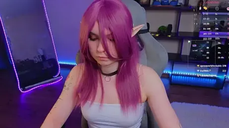 zelda_1 webcam model stream image