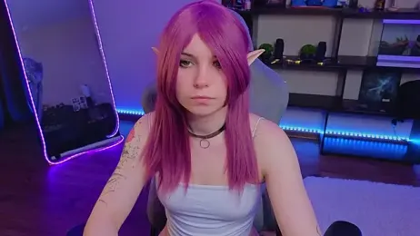 zelda_1 webcam model stream image