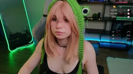 zelda_1 webcam model stream image