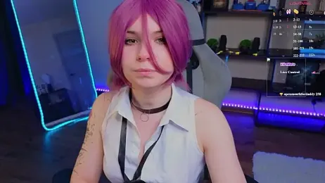 zelda_1 webcam model stream image