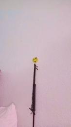 MaskIng_XL webcam cam4 model stream image