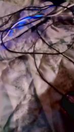 Scalareale66 webcam model stream image