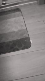 Scalareale66 webcam model stream image