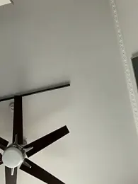 Hornyblond_Bella webcam stripchat model stream image