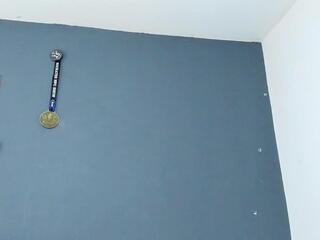 Reece Taylor webcam model stream image