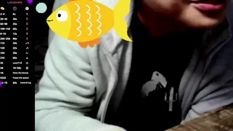 0066top webcam model stream image