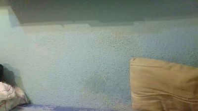 Ori_08 webcam model stream image